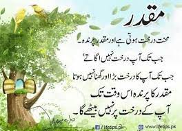 The page not only provides urdu meaning of plantation but also gives extensive definition in english language. Pin By Sweet Doll On Nice Deep Islamic Quotes Quran Urdu Quotes Poetry Quotes