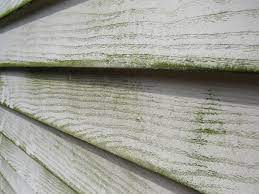 Wood siding is considered a highly sustainable material that breaks down easily in landfills. Remove Algae From Vinyl Siding With This Handy Guide Washh