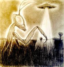 Their height ranges from 4′ to 9′ with skin colors of beige, brown, lime green, dark emerald green, turquoise, deep violet blue, gold or white. Pin On Drawings Of Extra Ultra And Sub Terrestrials