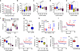 We did not find results for: Acute Epa Induced Learning And Memory Impairment In Mice Is Prevented By Dha Nature Communications