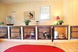 We did not find results for: Cat Kennels For Boarding Cat Boarding Dog Boarding Kennels Cat Kennels Cat Kennel