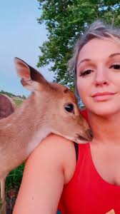 Golden Retriever Fawn Color
