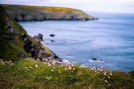 Flickr is almost certainly the best online photo management and sharing application in the world. Cornwall Foto Bild Cornwall Kuste England Bilder Auf Fotocommunity
