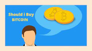 How much bitcoin do you really need to buy in order to make money? Should I Buy Bitcoin In 2021 Pros Cons Ultimate Guide