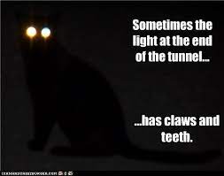 Sometimes The Light At The End Of The Tunnel Cheezburger Funny Memes Funny Pictures
