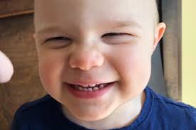 Fundraiser for Laura Weimer by Danielle Ash : Lots of Love for Luna