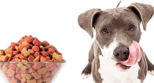Pitbulls are a loyal breed of dogs. Best Dog Food For Pitbulls Pitbull Puppies