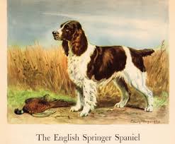 Black And White English Springer Spaniel Hunting 1942 Antique English Springer Spaniel Dog Print Vintage Megargee Pet Art Print Birthday Gift For Dog Lover W Spaniel Art Dog Print Art English Springer Spaniel