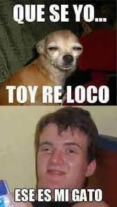 Memes Chistosos De Borrachos Google Search Bad Jokes Memes Funny