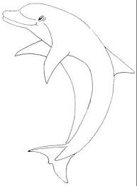 Dolphin coloring pages are a fun way for kids of all ages to develop creativity, focus, motor skills and color recognition. 42 Dolphin Ideas Dolphin Coloring Pages Dolphins Coloring Pages