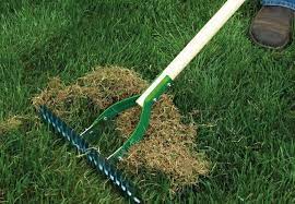 Fertilize centipede in june with ½ lb. How To Dethatch A Centipede Grass Best Manual Lawn Aerator