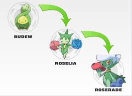 Evolve Roselia Evolve