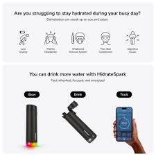 HidrateSpark Bouteille d'eau intelligente en acier, suit l'apport d'eau et  brille pour vous rappeler de rester hydraté, Chug, 621 ml, noir :  Amazon.ca: Auto