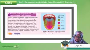 Organisma bergerak balas terhadap perubahan dalam persekitaran luaran dan dalaman untuk melindungi diri daripada kecederaan dan menjamin kemandirian organisma. F3 Sains 01 05 Rangsangan Dan Gerak Balas Dalam Manusia Bhg 3 Jom Tuisyen