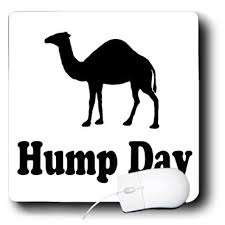 Funny happier than a camel on a wednesday commercial from geico. Hump Day Gifts T Shirts Decor Webnuggetz Com Webnuggetz Com