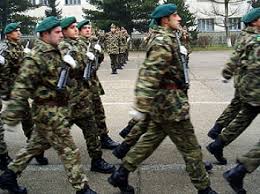 Image result for poze armata romana