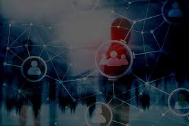 Paid advertising strategies for pest control: Pest Control Marketing Services By Bestpest Seo Bestpest Seo