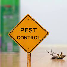 If you do encounter any pests between our visits all you need to do is pick up. Home Protection Pest Control Residential And Commercial Pest Control Experts