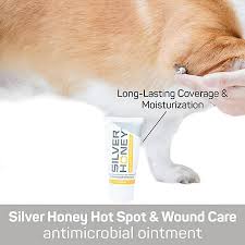 After serving its vital purpose, the excess collagen now appears lumpy and disorganized. Silver Honey Trade Hot Spot Wound Care Ointment Dog Treatments Petsmart