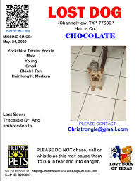 Common lost/found sites to share your found flyers and look for lost pets that have been posted: Helping Lost Pets