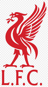 It is a very clean transparent background image and its resolution is 548x767 , please mark the image source when quoting it. Liverpool F C Anfield Liver Bird Logo Fa Cup Png 1000x1799px Liverpool Fc Anfield Area Artwork Beak