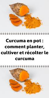 Epingle Sur Recettes De Cuisine