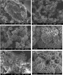 Get the web interface pro! Sem Images Of Sns 2 Products Synthesized At A 2 H B 4 H C 8 H Download Scientific Diagram