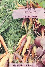 Cuisiner Les Fanes De Legumes Carotte Radis Dellectable En 2020 Legume Carotte Feuille De Betterave Radis