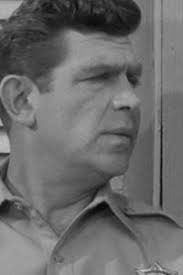 Matlock season 4 The Kidnapper Reviews