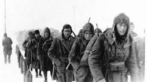 Risultati immagini per reduci jpg