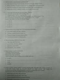 Penggunaan gerund, rumus dan contoh kalimatnya. Tolong Di Bantu Yah Pengen Jawaban Yang Akurat Brainly Co Id