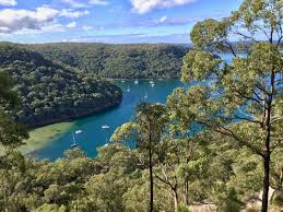 This walk starts from the end of the fitzpatrick park driveway and follows the georges river. Ku Ring Gai Chase National Park Wikipedia