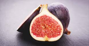 Check spelling or type a new query. Growing Figs Best Varieties Planting Guides Care Problems And Harvest