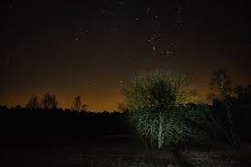 Der stern ist immer an der selben stelle und jede nacht zu sehen. Winterhimmel Wikipedia