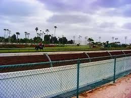 Los Alamitos Los Alamitos Bullhead City Tampa Florida