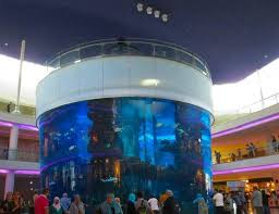 The hotel offers a restaurant, a coffee shop/café, and a snack bar/deli. Aquarium Inside Morocco Mall Picture Of Atlas Sky Airport Nouaceur Tripadvisor