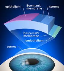 A: Slit Lamp View: Paracentral Corneal Haze Secondary To Dlk B: Slit... |  Download Scientific Diagram