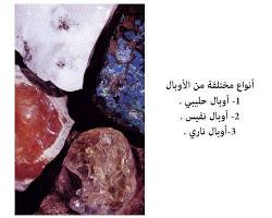 Image of الأوبال الخشبي