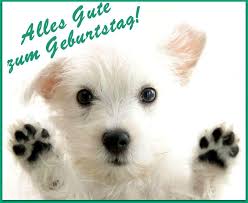 Alles gute zum geburtstag translated to afrikaans. Dreamies De U917v9plaq9 Jpg