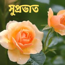 Best 36 Bengali Good Morning Images Wishes Wallpapers Quotes Pics Good Morning Images Morning Images Free Good Morning Images Follow us for regular updates on awesome new wallpapers! bengali good morning images wishes