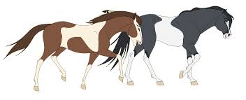 Request Mare And Stallion Base By Miss Adopts On Deviantart Horse Drawings Spirit The Horse Horse Art