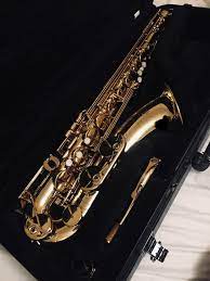 🎷Joining the Sax Gang!!🎷 Isn't she a beaut? Any beginning tips from my  fellow Saxophonists? More details in the comments : r/saxophone