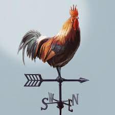 23 在 instagram 上发布 小学校の頃は風見鶏が似合う家に憧れていました にわとり かざみどり 朝 こけこっこ 練習 お絵描き 落書き イラスト 練習 難しい ipadpro procreate cockadoodledoo weathercock animals rooster