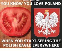 Find and save poland memes | poland really came through hard times. Memes Eagle And Poland Fbipolemical Polish Memes You Know You Love Poland When You Start Seeing The Polish Eagle Ev Polish Memes Polish Eagle Irish Memes