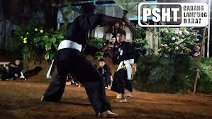 We did not find results for: Peragaan Jurus Psht Dari Warga Baru Rayon Way Lipu Ranting Batu Brak Cabang Lampung Barat Psht Cabang Lampung Barat