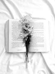 Black And White Road Aesthetic X One For The Road X Humans Arn T Real Black And White Aesthetic White Aesthetic Aesthetic Themes