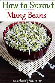 Pin On Indian Recipes