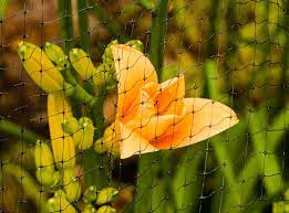 Bundle and store it out of direct sunlight. Bird Netting Do S And Don Ts Net Installation Tips