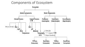 Chapter 8 Dynamic Ecosystem Form 4 Biology