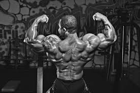 John meadows is a bodybuilder who, during his early days in the sport, suffered from a rare colon disease that nearly killed he was hospitalized but was quickly brought back to a stable condition. Your Guide To A Mountain Dog Back Elite Fts Elitefts